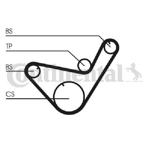 Original CONTINENTAL CTAM Zahnriemensatz CT714K1 für Hyundai Mitsubishi