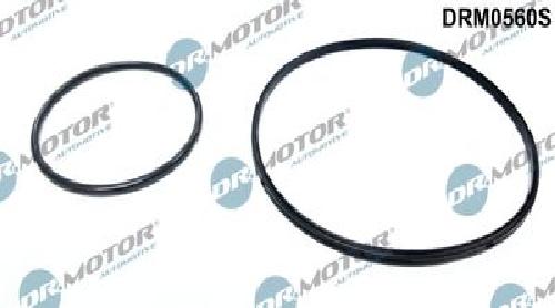 Original Dr.Motor Automotive Dichtungssatz Unterdruckpumpe DRM0560S für BMW