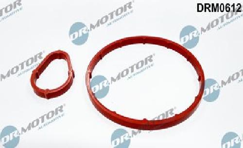 Original Dr.Motor Automotive Dichtungssatz Unterdruckpumpe DRM0612 für Citroën