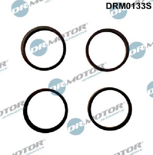 Original Dr.Motor Automotive Dichtungssatz Ansaugkrümmer DRM0133S für Seat