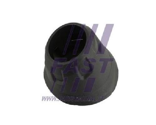 Original FAST Puffer Motorhaube FT95655 für Ford