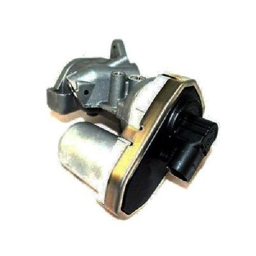 Original MAGNETI MARELLI AGR-Ventil 571822112038 für Citroën Fiat Ford